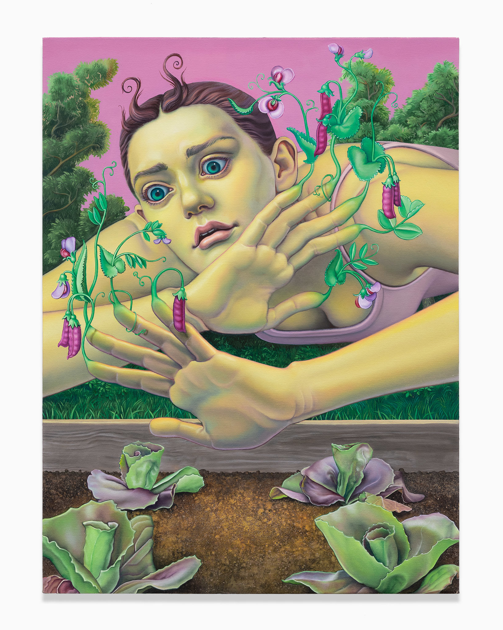 Peapod Daphne | Carl Freedman Gallery