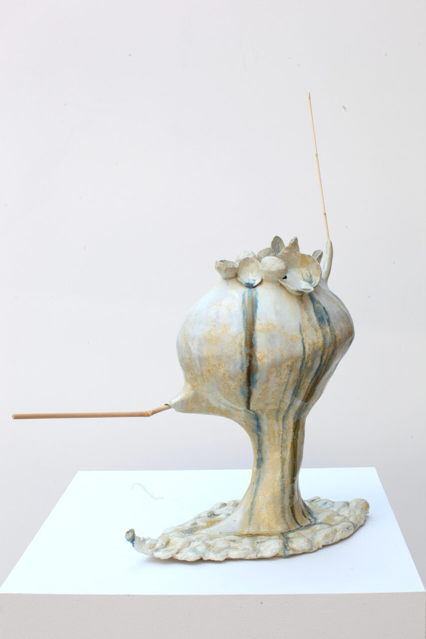 Ceramic