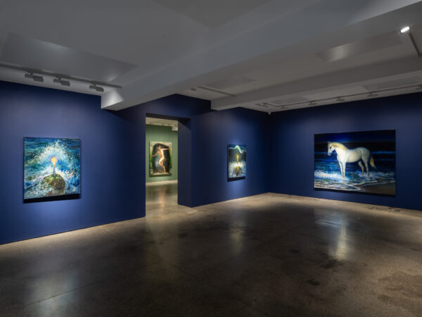 TM Davy, 'Tine Mara', Carl Freedman Gallery, Installation View, Margate, 2025