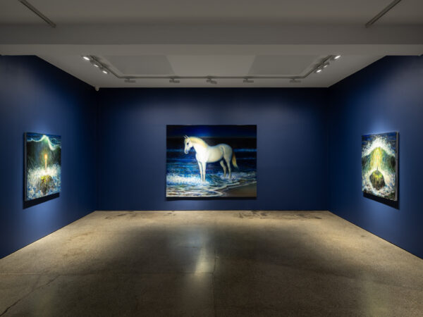 TM Davy, 'Tine Mara', Carl Freedman Gallery, Installation View, Margate, 2025