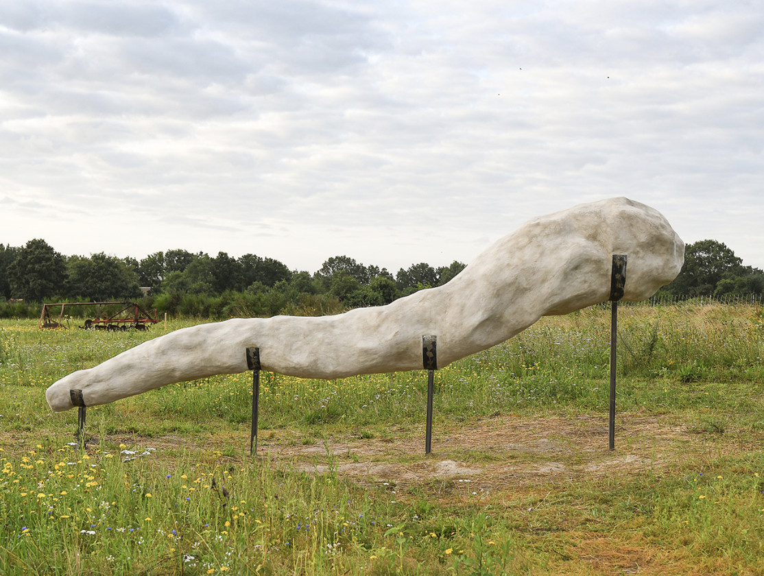 Drinkers of the Wind - Emii Alrai
