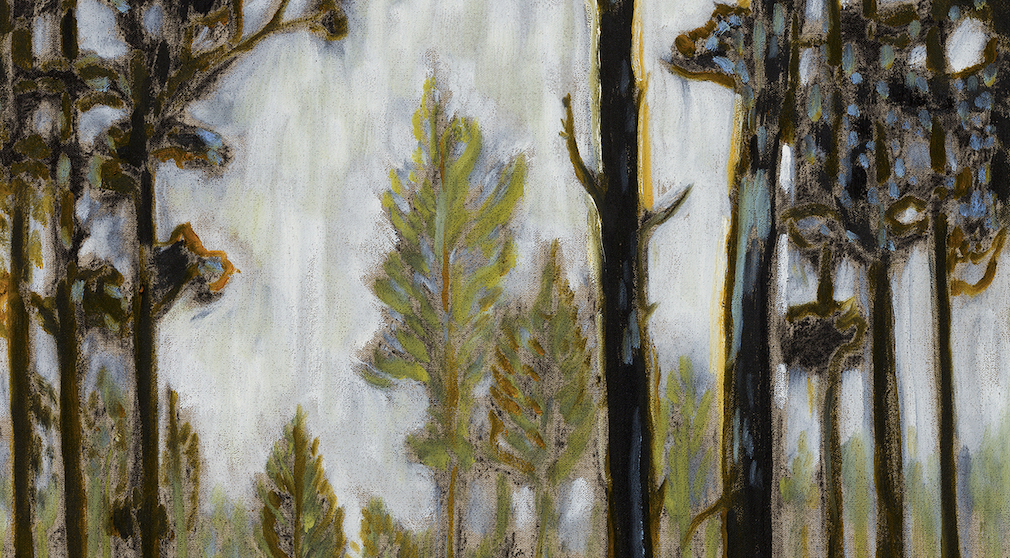 Carl Freedman Gallery