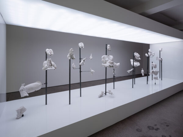 CarlFreedman_LMG3install - 