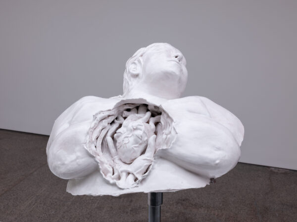 CarlFreedman_LMG3install_detail_2 - 