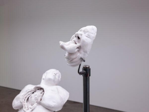 CarlFreedman_LMG3install_detail_4 - 